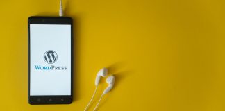 WORDPRESS-ის ძალა ვირტუალურ სამყაროში